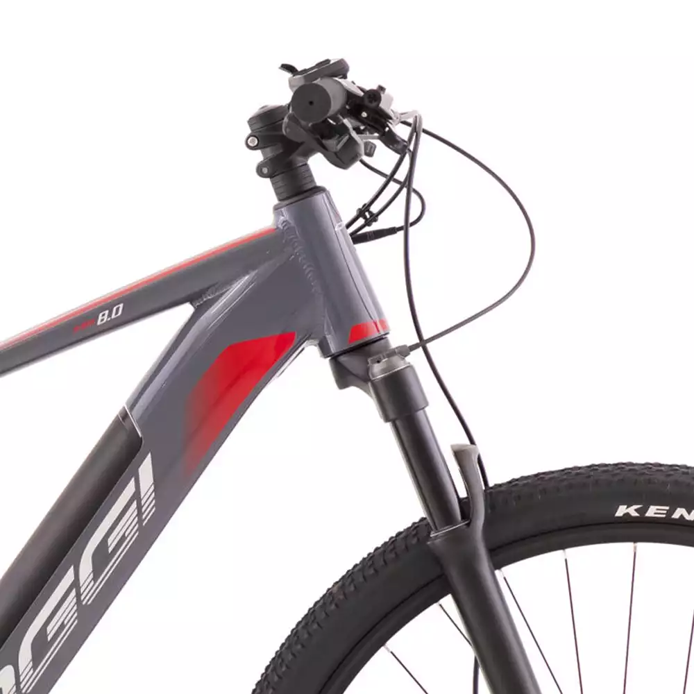 Oggi E bike 8 detalhe